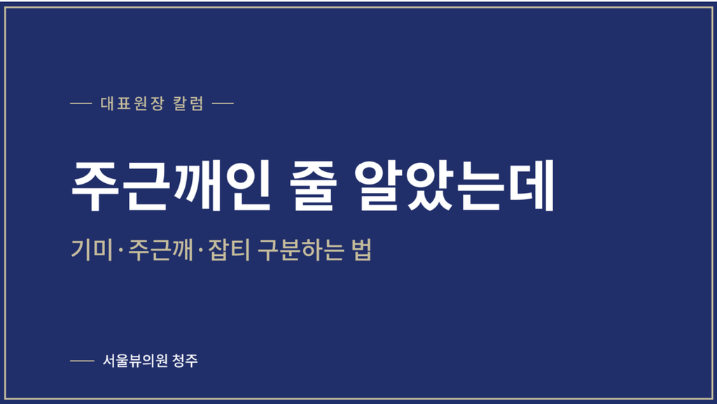 기미 주근깨 차이 — 기미 주근깨 차이, 모양과 위치로 알 수 있나요?